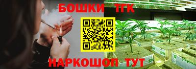 сатива Бузулук