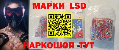 шишки Будённовск