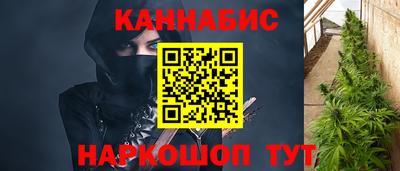 сатива Бузулук