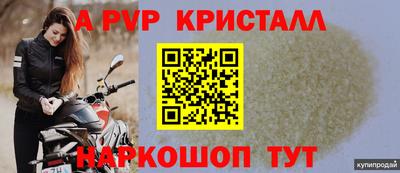 шишки Будённовск