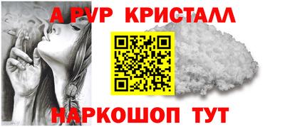 шишки Будённовск