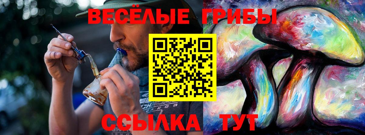 Галлюциногенные грибы Междуреченск