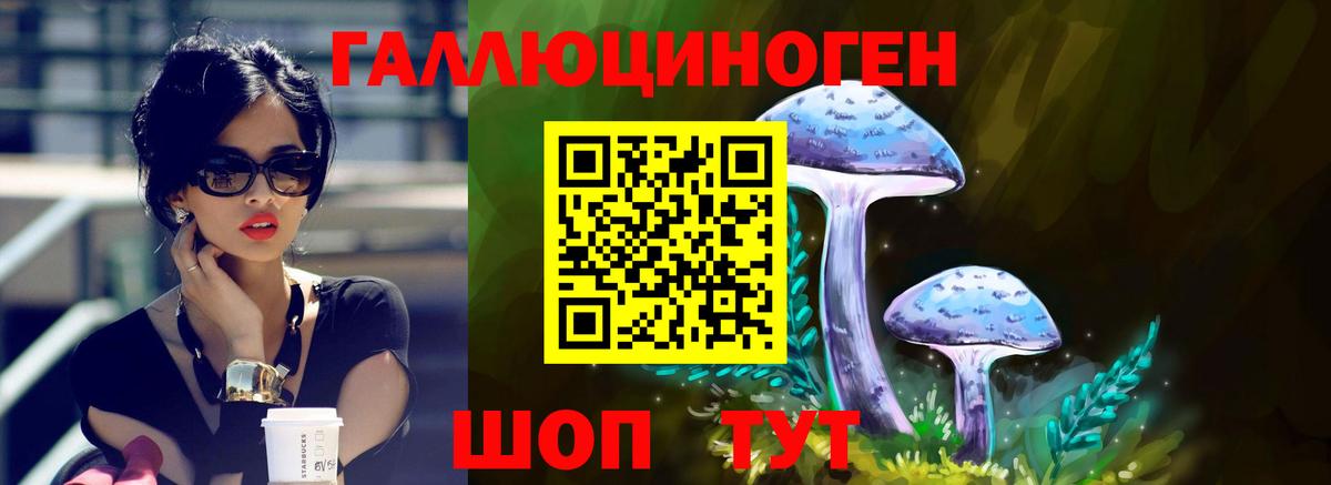 Междуреченск  купить наркоту  Галлюциногенные грибы Psilocybine cubensis  Вход с VPN  Псилоцибиновые грибы Psilocybe 
