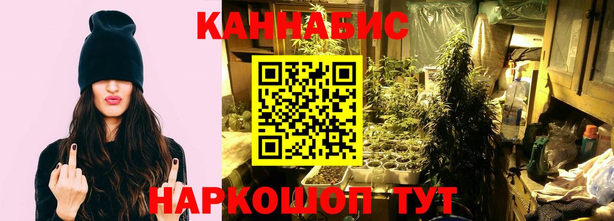 Бошки Шишки THC 21%  Вход с VPN  МАРИХУАНА тримм  Бошки марихуана LSD WEED  Междуреченск  Канабис OG Kush 